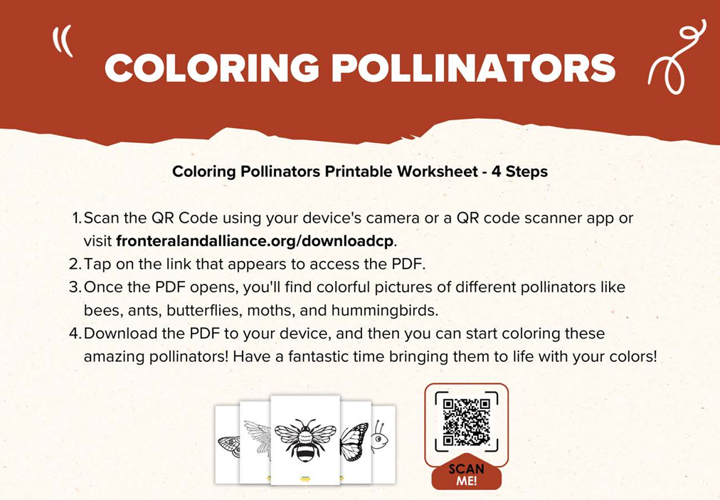 coloring pollinators 